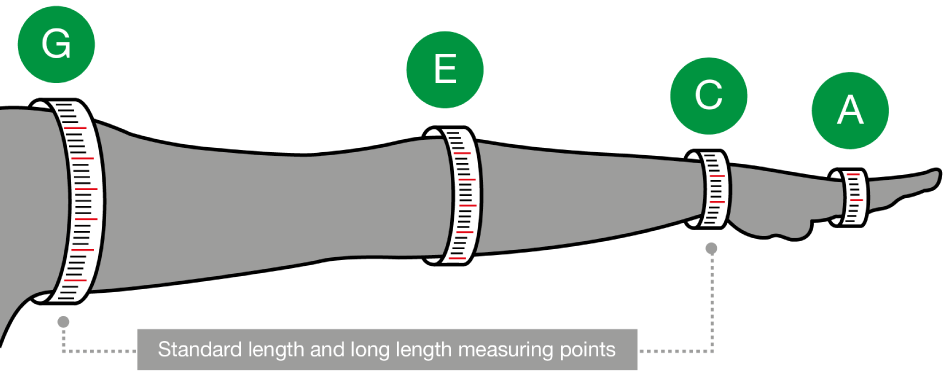 ActiLymph measurement